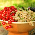 photo_5366323055673676152_x