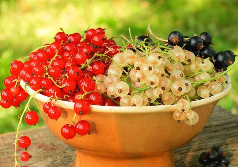 photo_5366323055673676152_x